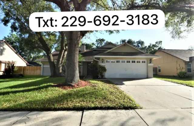 1432 Shell Flower Dr - 1432 Shell Flower Drive, Brandon, FL 33511