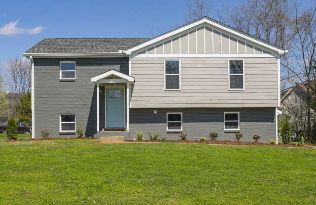 Available June. Large house, fenced back yard, renovated, fenced back, pets ok, great for house share 11 miles to downtown photos photos