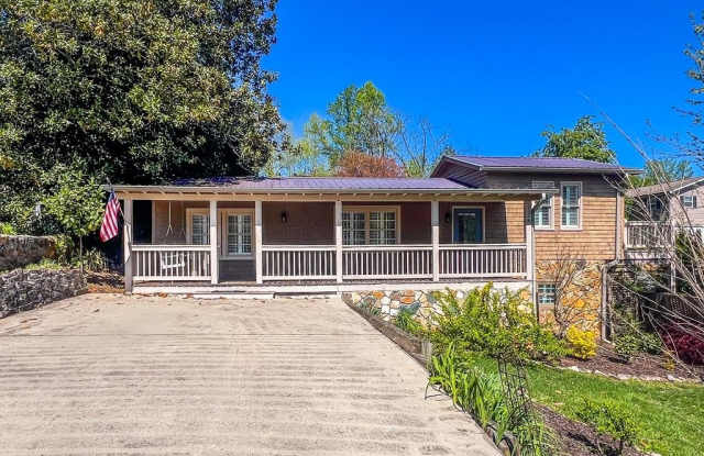 126 College Street - 126 College Street, Blue Ridge, GA 30513