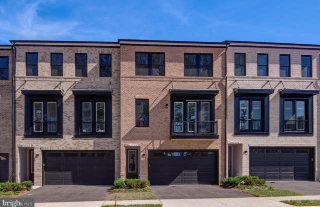 42225 SHINING STAR Square photos photos 42225 SHINING STAR Square photos photos