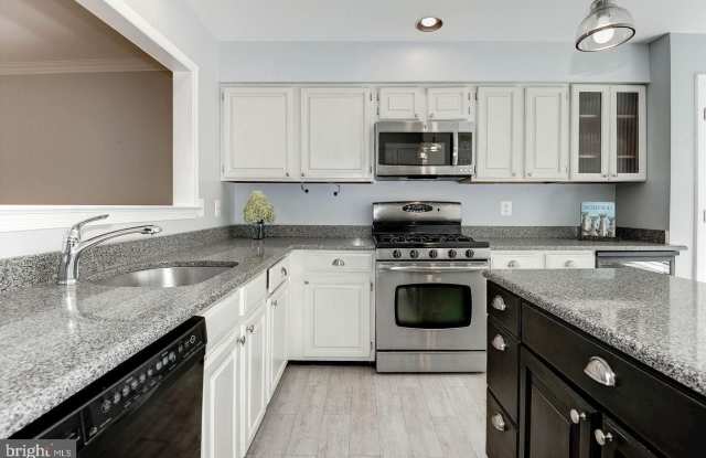 11748 GREAT OWL CIR Gallery 2