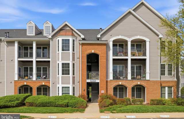 46630 DRYSDALE Terrace photos photos