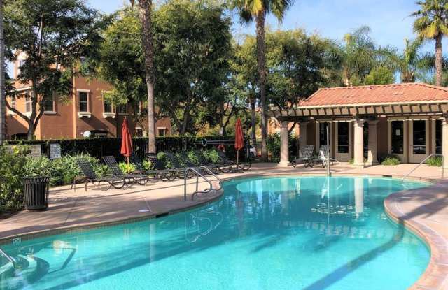 1824 Peach Court #6 Gallery 2