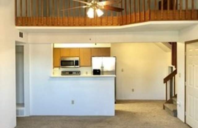 8771 Dawson South Gallery 4