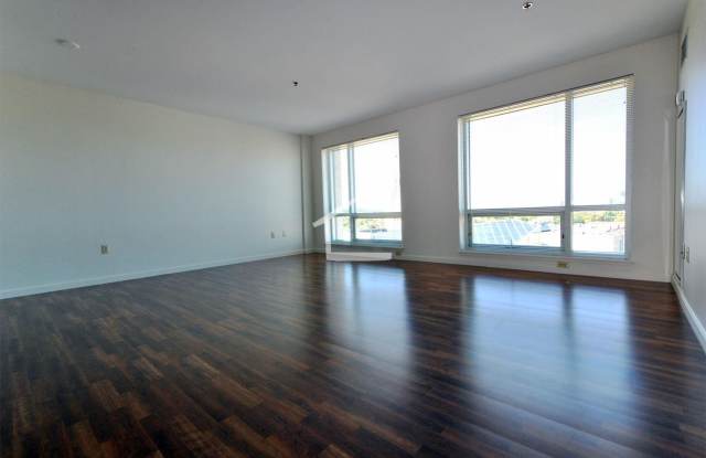 Luxury Fenway Apartment minutes walk to NEU and more!  Laundry in Unit! Pet Friendly photos photos