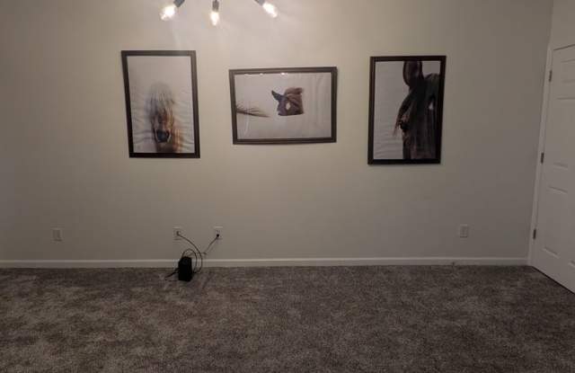Townhouse at The Pinnacle Subdivision Gallery 4