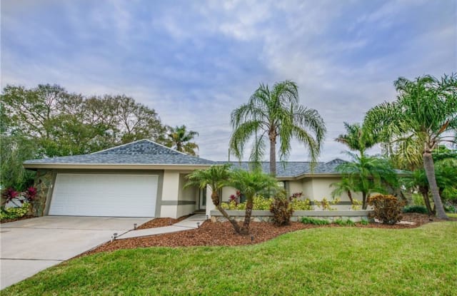 4311 SALTWATER BOULEVARD - 4311 Saltwater Boulevard, Town 'n' Country, FL 33615