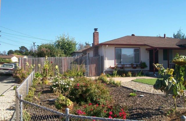2294 shawn dr - 2294 Shawn Drive, Tara Hills, CA 94806