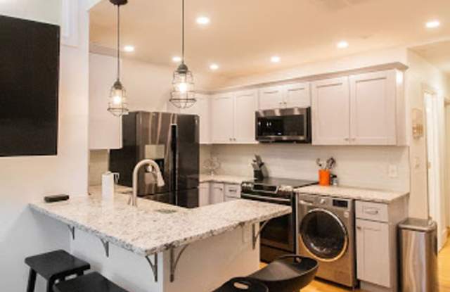 Amazing renovation - three bedroom luxury apartment - 8 Chiswick Road, Boston, MA 02135
