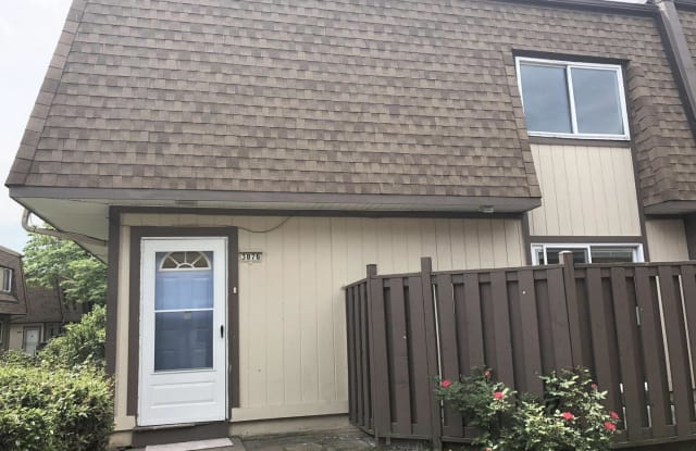 3876 MANZANITA PLACE - 3876 Manzanita Place, Fairfax County, VA 22309