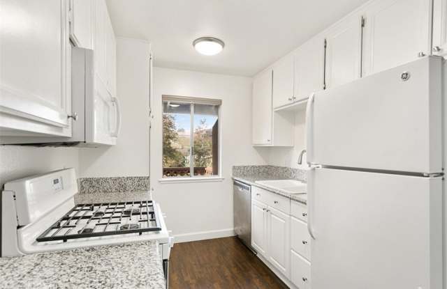 25781 Marguerite photos photos