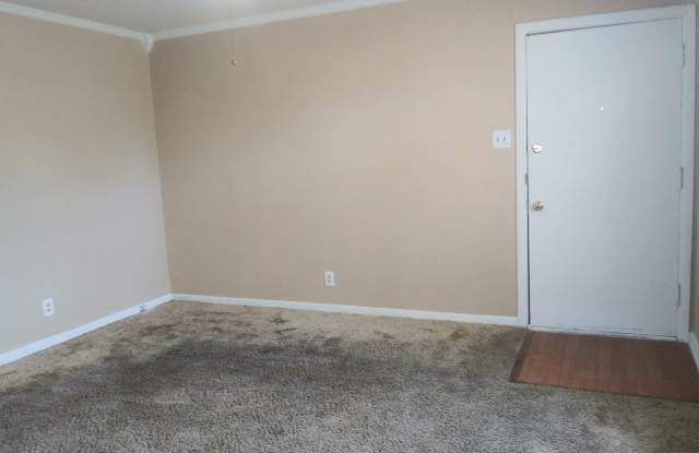 3002 Curtis Drive - B Gallery 2