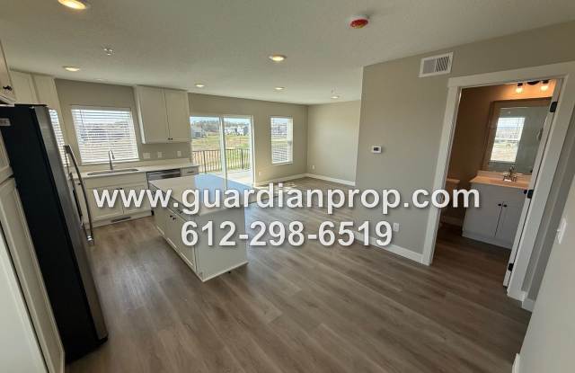 Luxury New Construction Townhouse, End Unit, Lower Family Room w/Walkout, 4 Baths, Loft Area - 8867 Granite Court, Woodbury, MN 55129