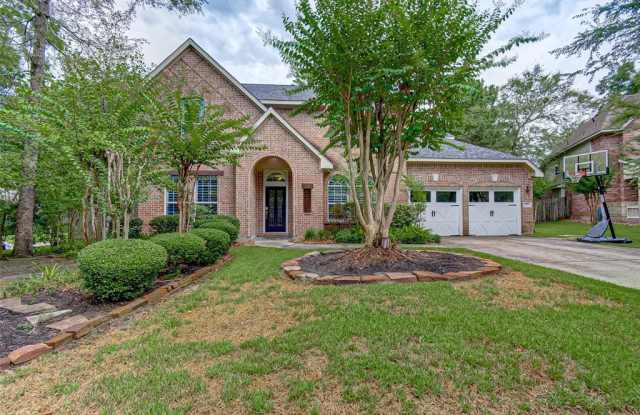 3 Vincent Court - 3 Vincent Court, The Woodlands, TX 77382