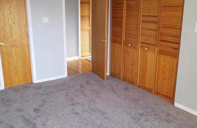 8004 S Phillips Ave - 3S - 8004 South Phillips Avenue, Chicago, IL 60617