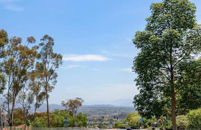 10974 Caminito Tierra Gallery 4