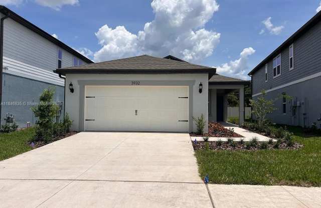 3932 Ivy Springs Lane - 3932 Ivy Springs Lane, Land O' Lakes, FL 34638 3932 Ivy Springs Lane - 3932 Ivy Springs Lane, Land O' Lakes, FL 34638