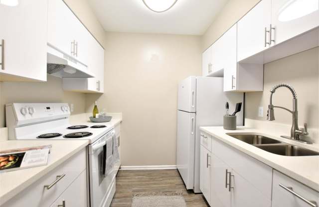 The Hammocks off 6th photos photos The Hammocks off 6th photos photos