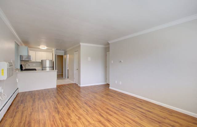 1536 Vine Gallery 4