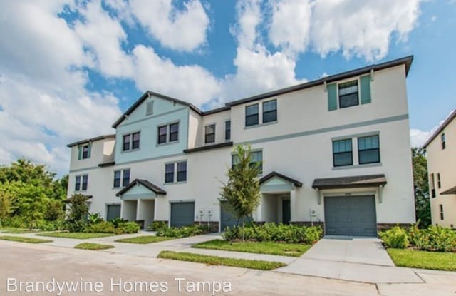 5658 Marbella Drive - 5658 Marabell Drive, Port Richey, FL 34668