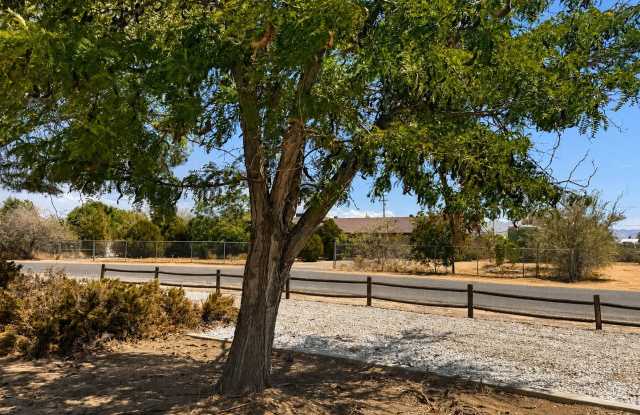 Spacious Apple Valley Home with RV Parking & Desert Views Gallery 4