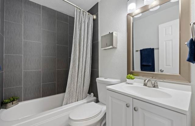 Phoenix Apartments Gallery 4