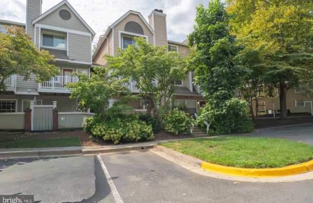 5705 CHAPMAN MILL Drive Gallery 2