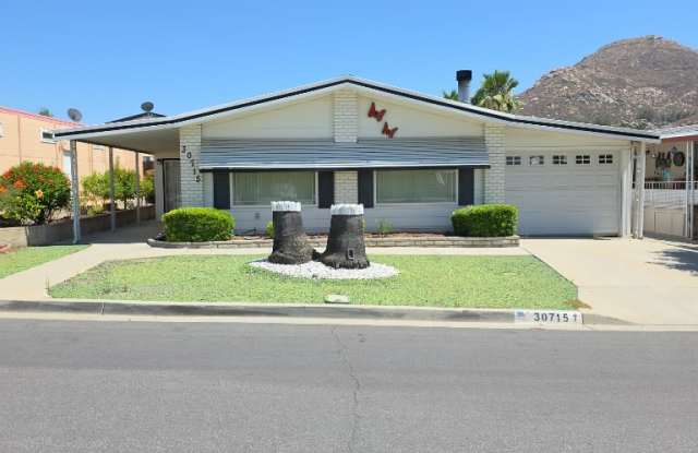 30715 Arenga Palm Dr photos photos