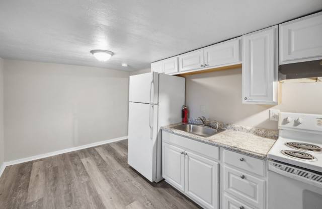 Newly Renovated 2 bedroom Apartment! - 2001 Grandview Avenue, McKeesport, PA 15132