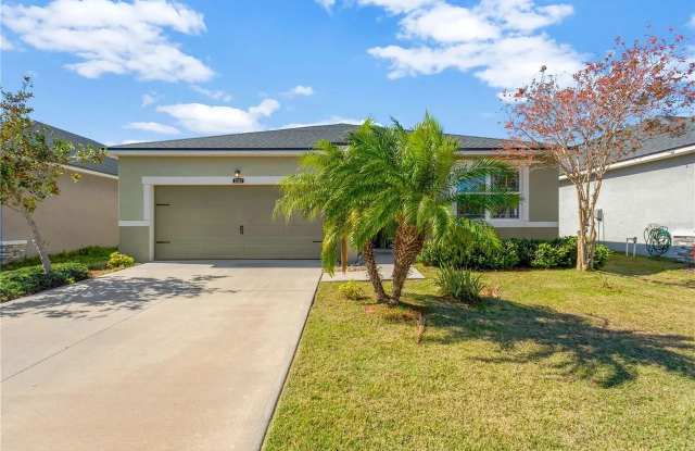 13122 Satin Lily Dr - 13122 Satin Lily Drive, Riverview, FL 33579