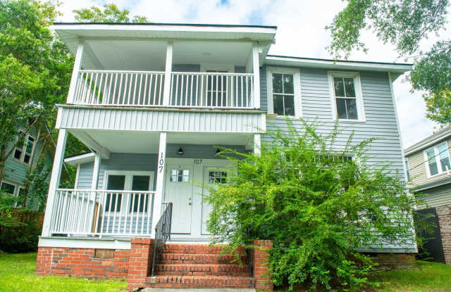 Charming 2BR House in Wilmington –Upstairs Unit - 107 North 13th Street, Wilmington, NC 28401