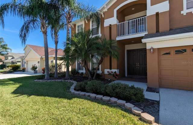 27337 HOLLYBROOK TRAIL - 27337 Hollybrook Trail, Wesley Chapel, FL 33544