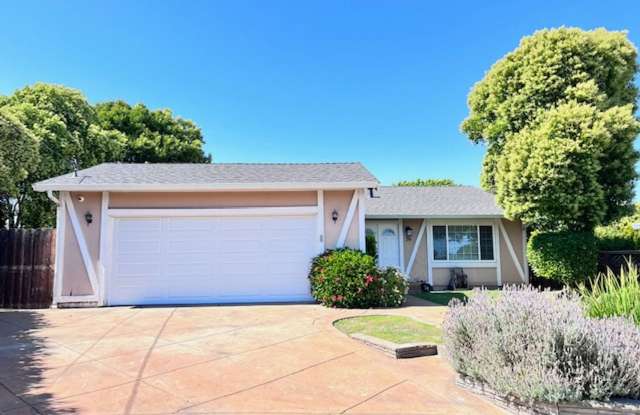 Updated and Move-In Ready 3BD/2BA, Single-Story Ranch-Style Home, Pine Valley Area, SR- Available NOW! photos photos