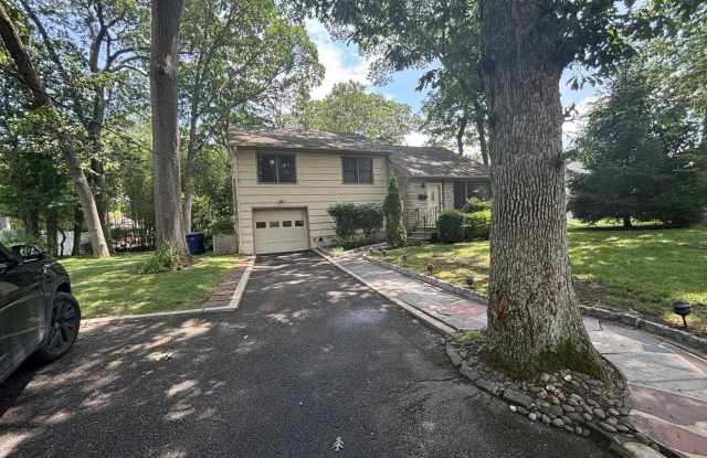 187 Elmwood Road Gallery 3
