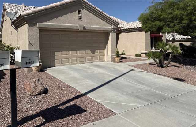 10532 Sea Palms Avenue photos photos