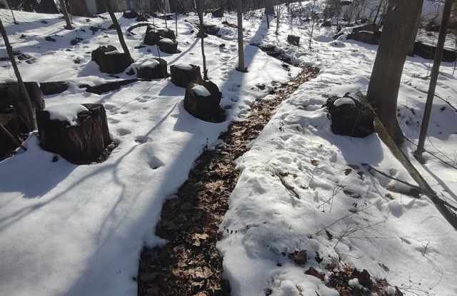 8BR House on iuka ave ravine – Central Campus – Garage – Flexible Move-In photos photos