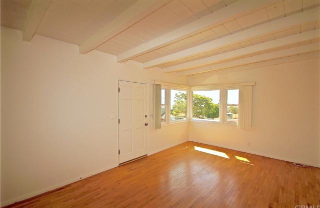 274 Dolphin Gallery 2