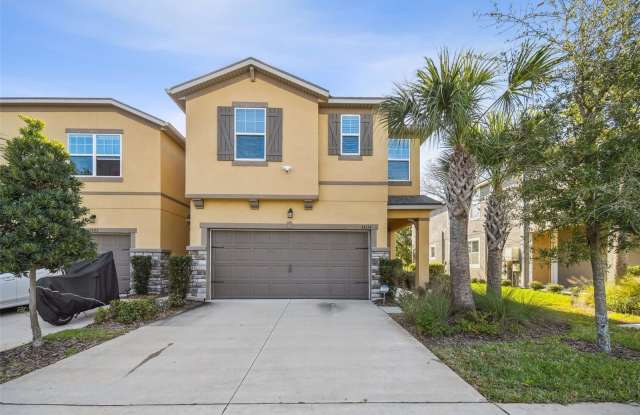 14114 DAMSELFLY DRIVE - 14114 Damselfly Dr, Citrus Park, FL 33625