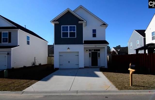 910 Dawsons Park Way - 910 Dawsons Park Way, Lexington County, SC 29072