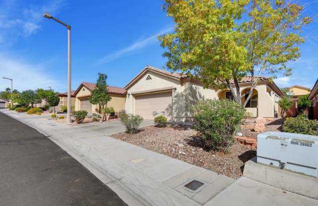 Summerlin Vistas One Story Beauty Gallery 3