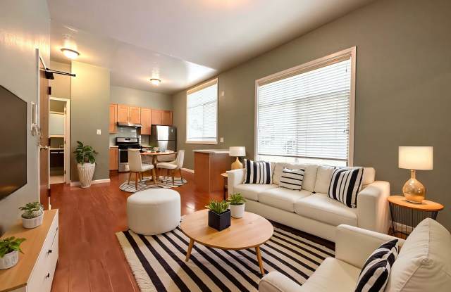 1037 Clay Street photos photos