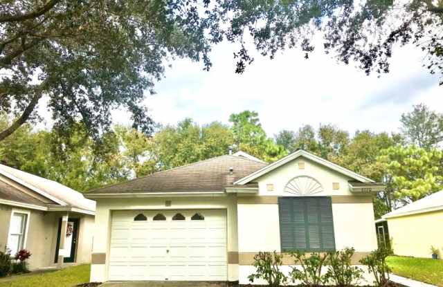 6170 Skylarkcrest Drive - 6170 Skylarkcrest Drive, Fish Hawk, FL 33547