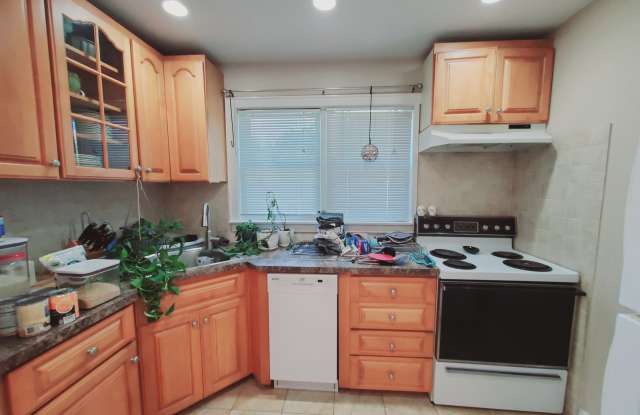 37 Cowan Avenue photos photos