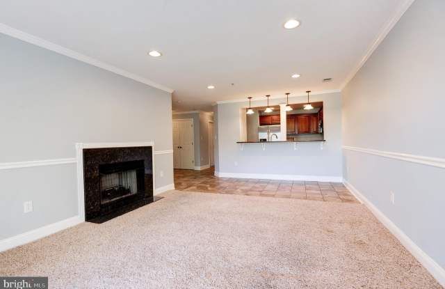 20593 CORNSTALK TERRACE photos photos