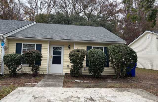1557 Blaze Ln - 1557 Blaze Lane, Charleston, SC 29412