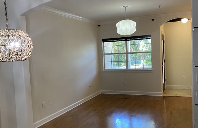 307 East New Hampshire Street - 307 New Hampshire Street, Orlando, FL 32804