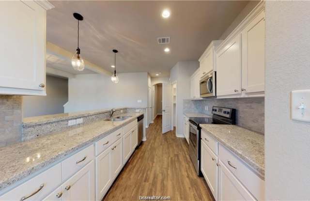 2909 Papa Bear - 2909 Papa Bear Drive, College Station, TX 77845