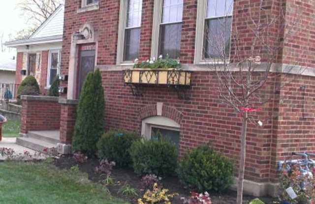 10317 Elizabeth Street - 10317 Elizabeth Street, Westchester, IL 60154