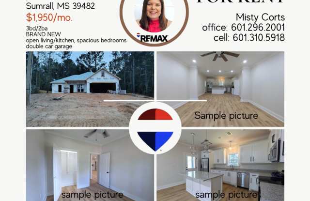 15 Will Brown Ln - 15 Will Brown Lane, Sumrall, MS 39482