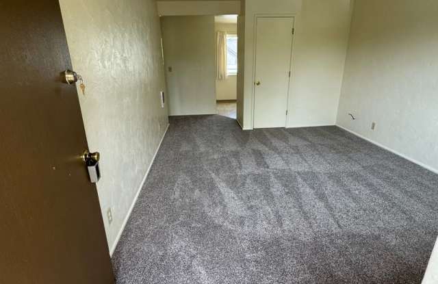 1-Bedroom 1-Bathroom apartment in Eugene photos photos